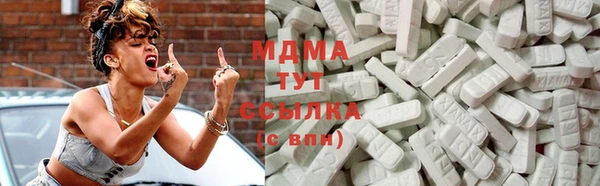 ГАЛЛЮЦИНОГЕННЫЕ ГРИБЫ Дмитриев