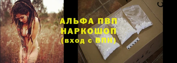 твердый Шали