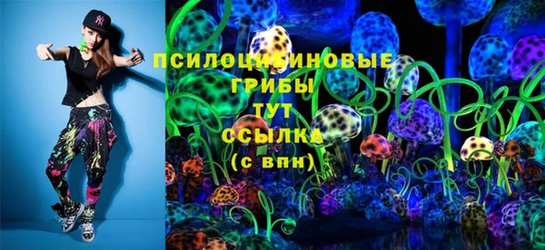 не бодяженный Шадринск