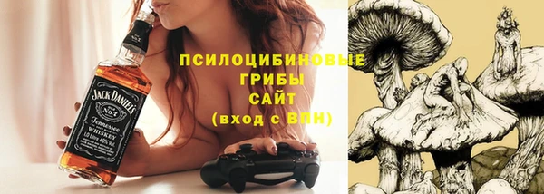 ГАЛЛЮЦИНОГЕННЫЕ ГРИБЫ Дмитриев