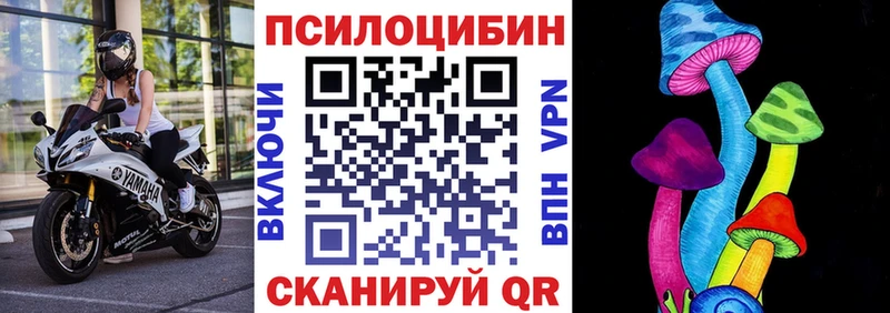 Галлюциногенные грибы мицелий  наркота  гидра tor  Данков 